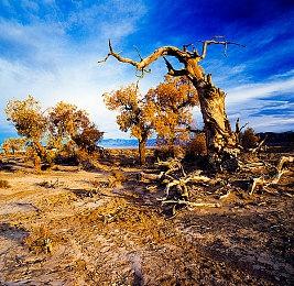 FromSoftware新作《Spellbound》首张图片泄露 更多细节